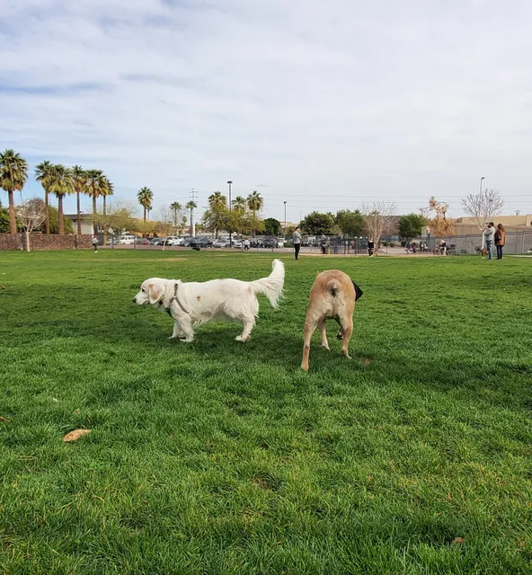 Hance Large Park Dog Park