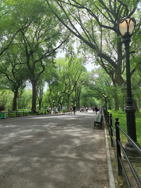 The Mall and Literary Walk