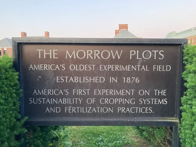 Morrow Plots