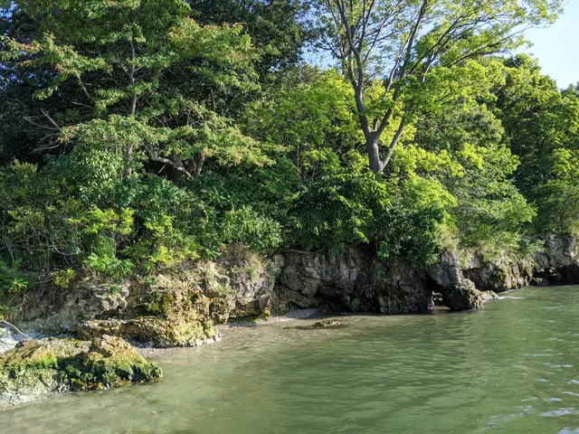 Massie Cliffside Preserve