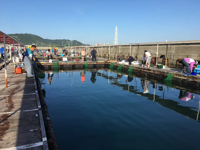 深日漁協·海上釣り堀岬