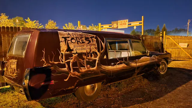 A Petrified Forest Scare Trail