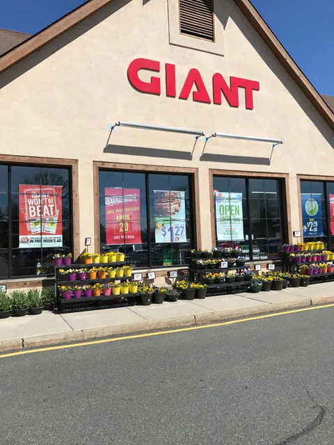 GIANT