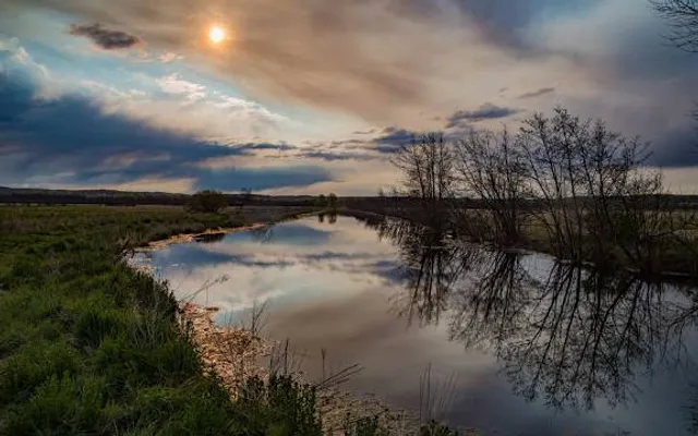 Arcadia Marsh Nature Preserve