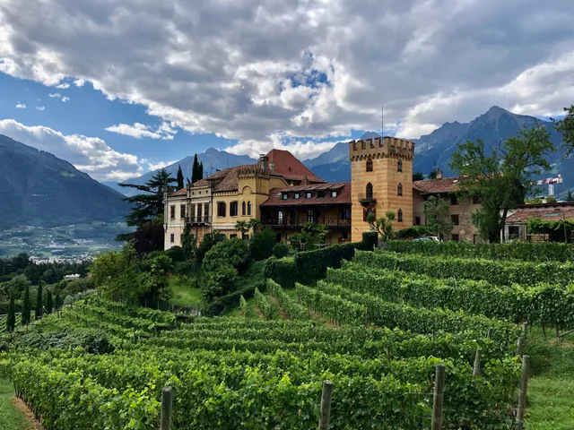 Azienda Vitivinicola Castello Rametz S.R.L.