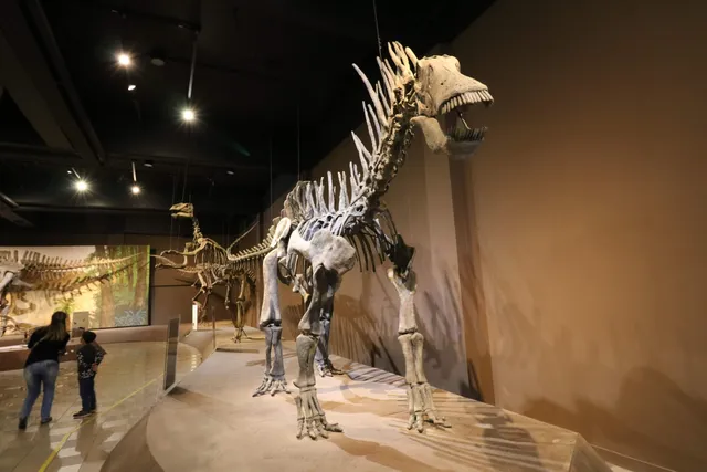 PUC Minas Natural Sciences Museum