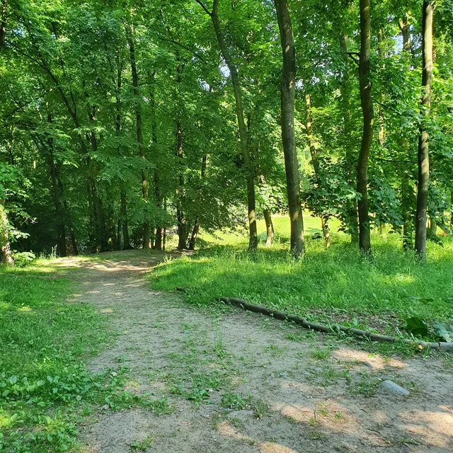 photo-1