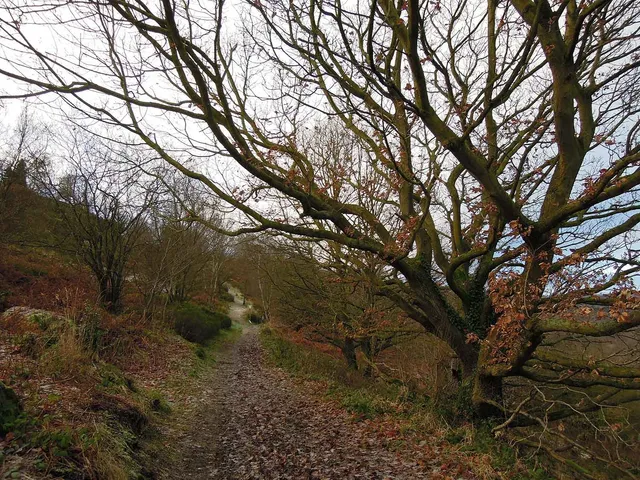 Fox Hagg Nature Reserve