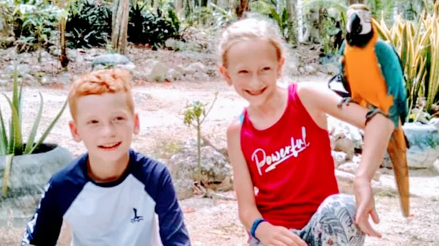 akumal natura rescue