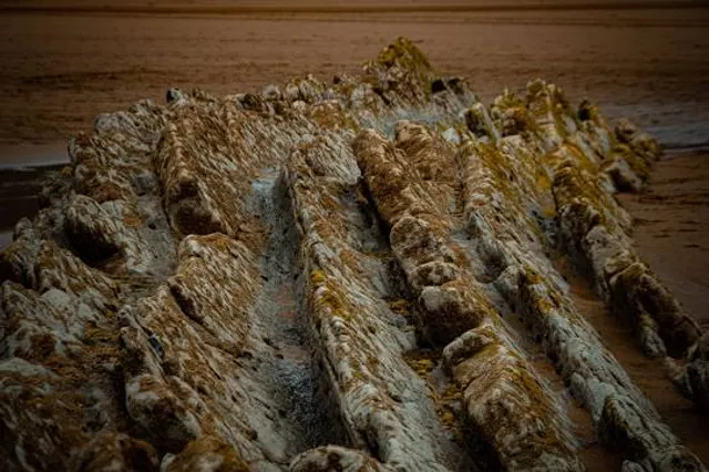 Adrenalin Plus Adventure Park