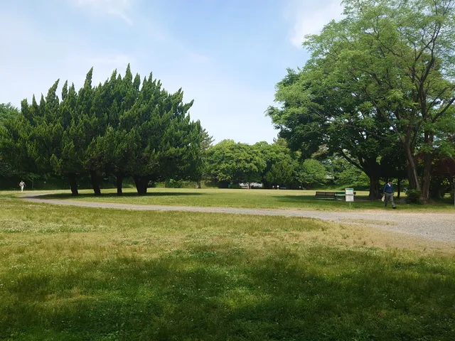 Kano Park