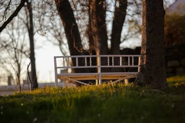 1933 Chicago World's Fair Century of Progress Homes