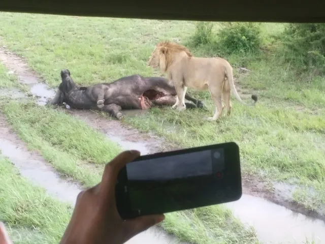 AndBeyond Arusha Office