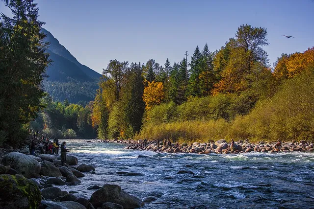 Chilliwack River Provincial Park
