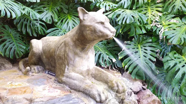 Salus Natural Reserve