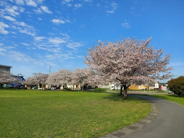Karikusa Central Park