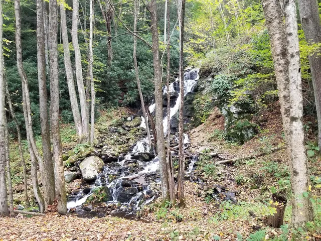 D&L Trail Lehigh Tannery Trailhead