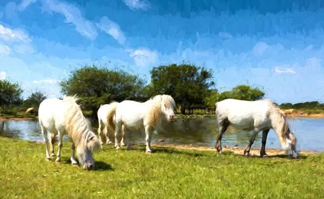 Velyka Byihan Rural Hromada