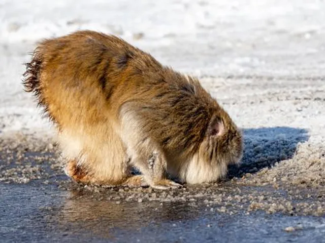 Hacienda de Jesús del Valle