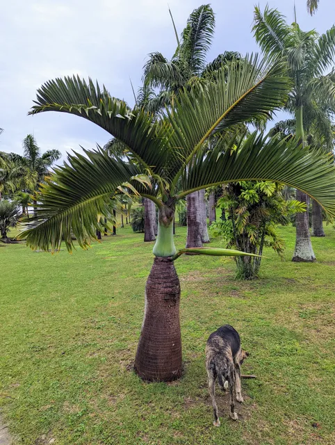 Parc du Receiving Georges-Brunelet