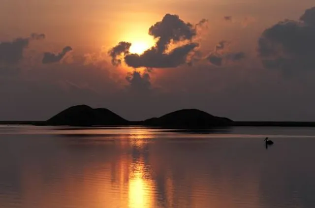 Muttukadu Backwaters