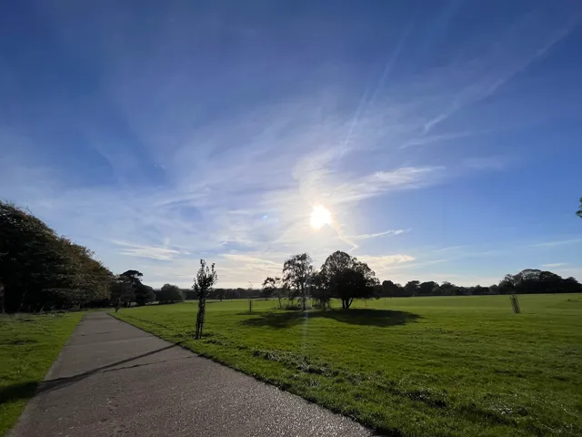 Buckingham Park & Playground