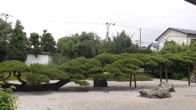 Neju-no-matsu Garden