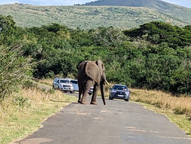 Hluhluwe Imfolozi Game Reserve