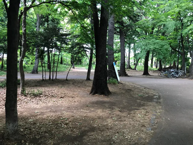 Wild Bird Invitation Forest, Shakujii Park