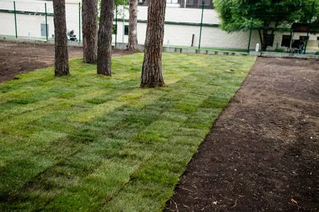 Mineral Springs Park