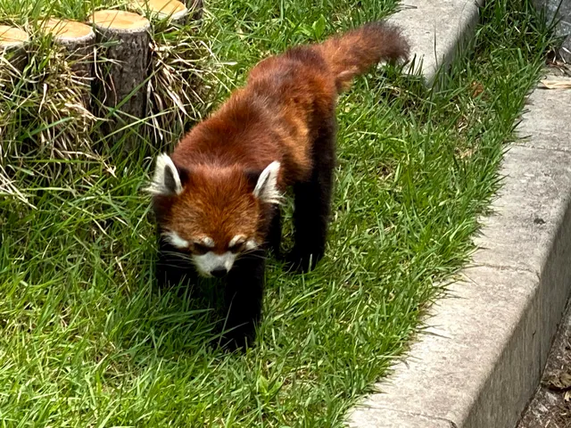 Fukuchiyama City Zoo