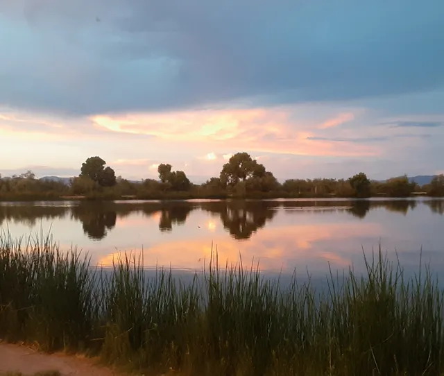 Dankworth Pond State Park