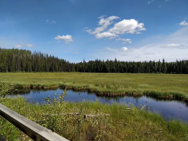 Area A (Salmon River/Lakes)