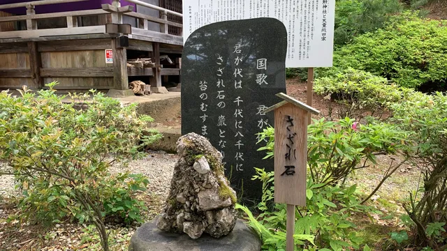 photo-3