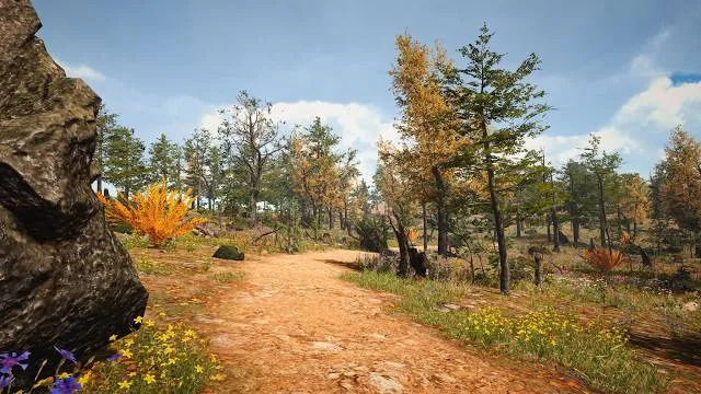 Forest Nature Reserve Słupecka