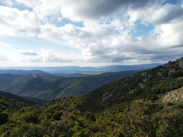 foresta di Monte Lerno
