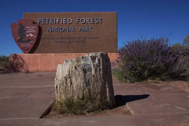 Petrified Forest National Park
