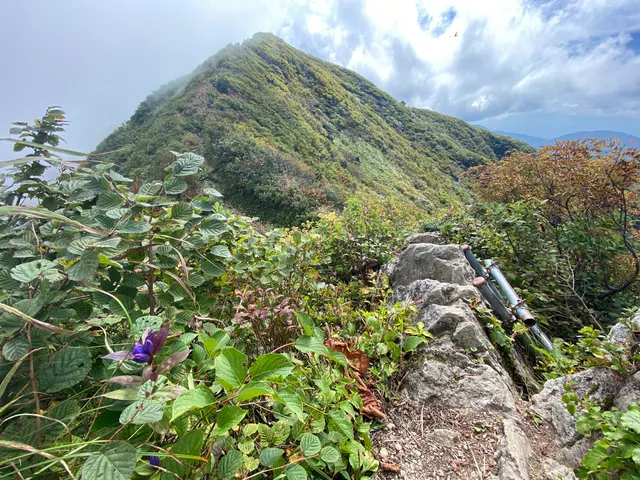 Mt. Kamuro