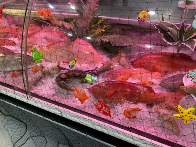 Babinda FNQ Fresh Fish