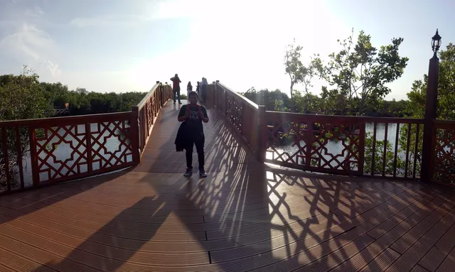 Hutan Lindung Langsa