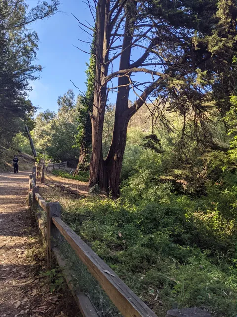 Glen Canyon Creeks to Peaks Trailhead