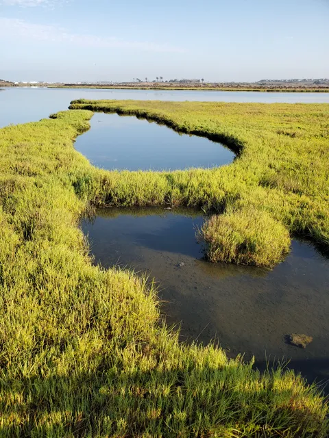 Bolsa Chica Basin State Marine Conservation Area