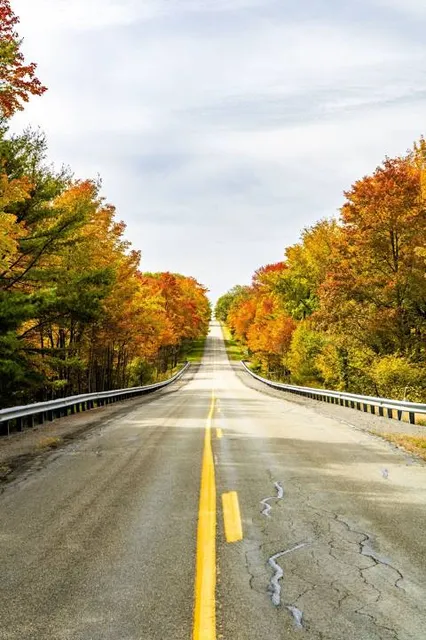 Moshannon State Forest