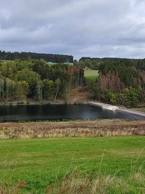 Köhlerpfad am Steinbach