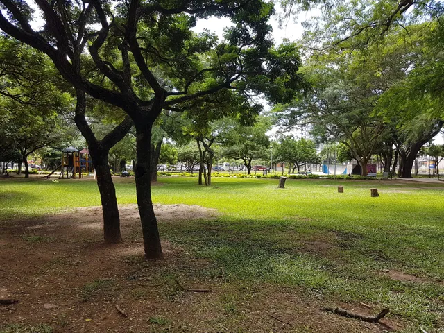 Autonómico 4 de Mayo Park