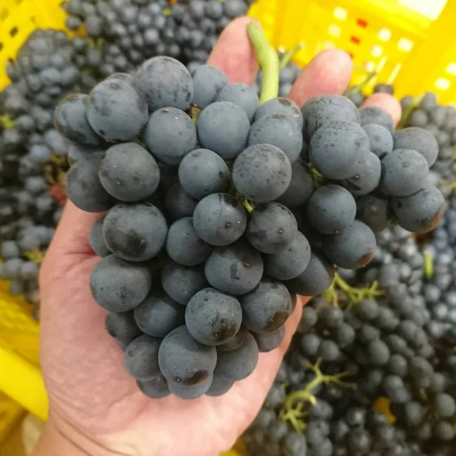 Watarise Farm & Winery