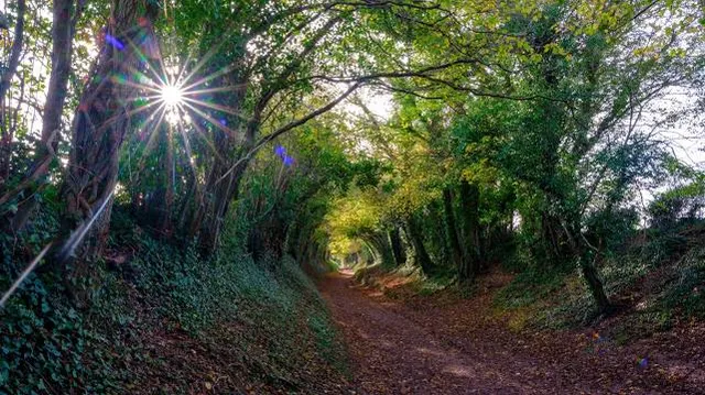 Kunszentmártoni járás