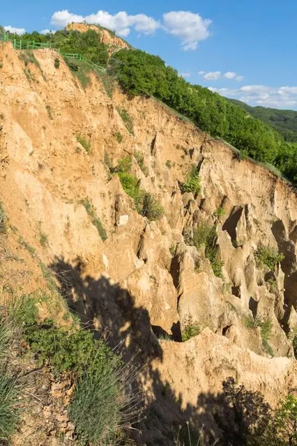 Kamvounia Municipal Unit