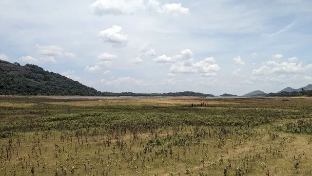 place image