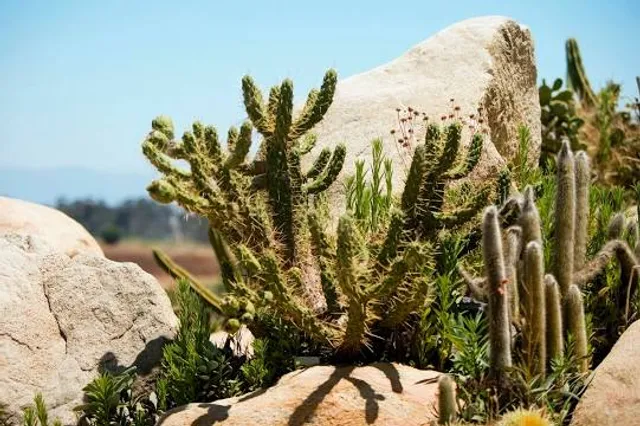 Jurupa Mountains Discovery Center